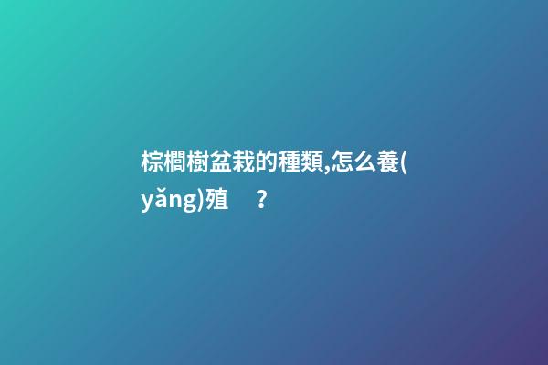 棕櫚樹盆栽的種類,怎么養(yǎng)殖？